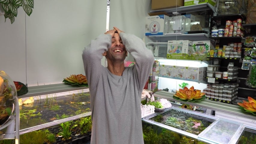 אדם בחנות עם אקווריומים נראה מרומם, ידיים על הראש. ברקע מדפים מלאים באספקה מגוונת לחיות מחמד.